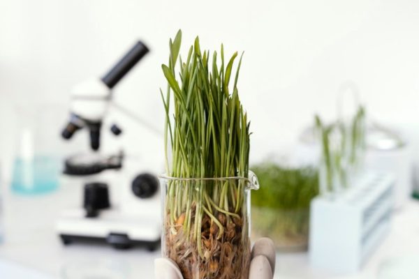 farmbox (4)